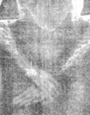 Detalle de las manos y torso.