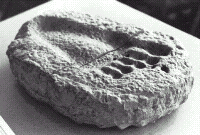 huella.gif (15278 bytes)