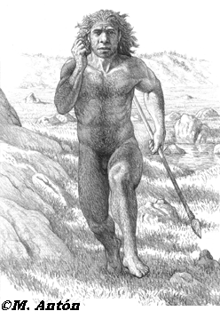 neand.gif (84401 bytes)