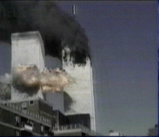 wtc1x.gif (204948 bytes)