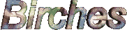 Birches
