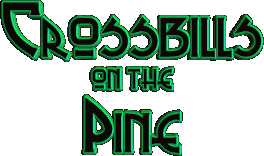 Crossbills on the Pine