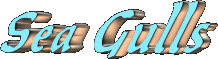 Sea Gulls