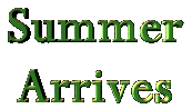 Summer Arrives