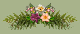 Fernswag graphic by Dawn