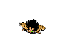 DragonBall05.gif (6904 bytes)