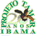 tamar.gif (5290 bytes)