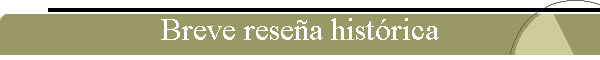 Breve rese�a hist�rica