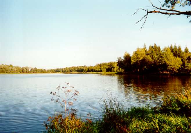 Vrábsko - rybník Zhoř