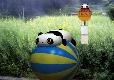 Tare Panda