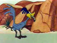 Wile E. Coyote in Ready, Set, Zoom! Wile E. Coyote in Ready, Set, Zoom!