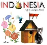 All about Indonesia