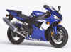 R1_BLUE_2.jpg (44193 bytes)