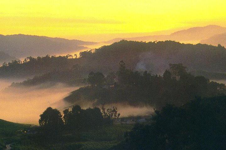 Sunrise in Cameron Highlands