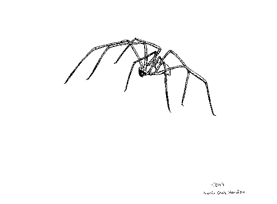Tooth Cave Spider Coloring Page