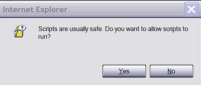 Scripts are usually safe. Do you wish to allow scripts to run?