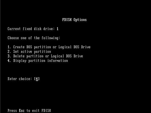 Fdisk option 4.
