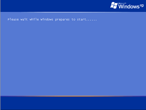 Please wait while windows prepares to start....