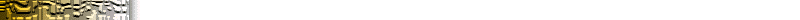 bg4tms.gif (2016 bytes)