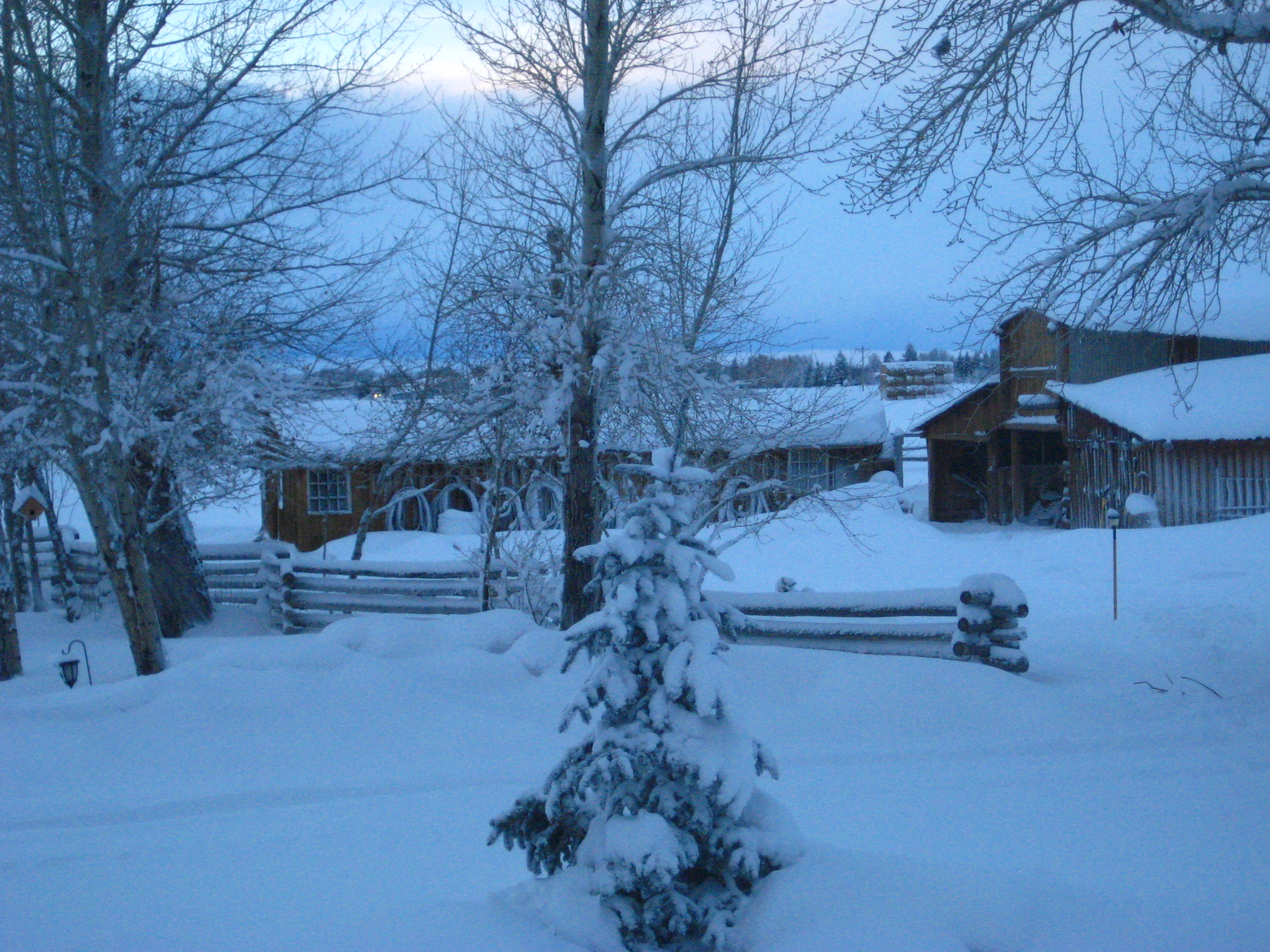When its cold its cold with a lot of snow!
