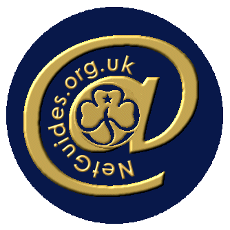 www.netguides.org