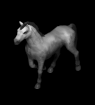 Arabian Horse