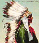 Indian Chief