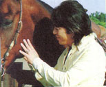 yasashii