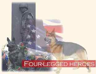 Petsmart dot-com tribute

 to 4-Legged Heroes...