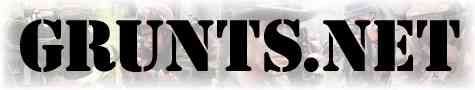 Grunts Net dot-net