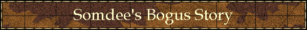 Bogus MIA Story