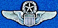 Combat Pilot Wings