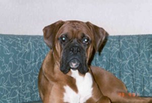 Kalle