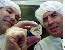 El doctor Russell Vreeland (izq.) y el doctor William Rosenzweig miran el cristal de sal que contiene la bacteria de 250 millones de aos