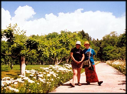Garden