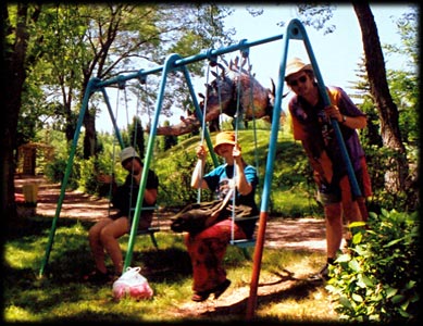 Swing