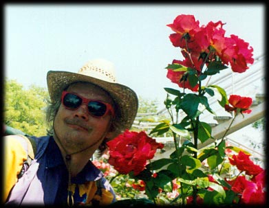 Big roses