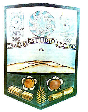 nvocasas.jpg (20468 bytes)