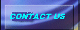 Contact Information