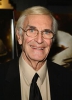 photo Martin Landau (voz)
