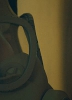 photo J. Evan Bonifant