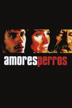 poster Amores perros&nbsp;&nbsp;(2000)