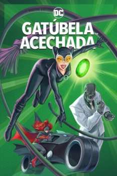 poster Catwoman: Acechada&nbsp;&nbsp;(2022)