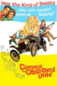 poster Daktari: Clarence, el león bizco&nbsp;&nbsp;(1965)