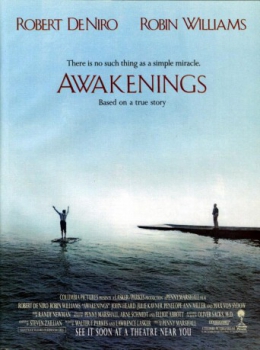 poster Despertares&nbsp;&nbsp;(1990)