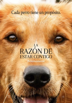 poster La razón de estar contigo&nbsp;&nbsp;(2017)