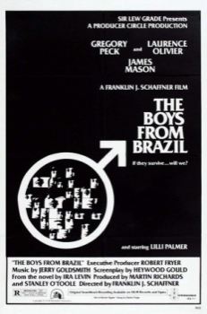 poster Los niños del Brasil