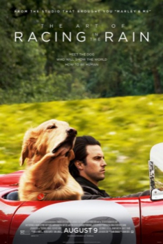 poster Mi amigo Enzo&nbsp;&nbsp;(2019)
