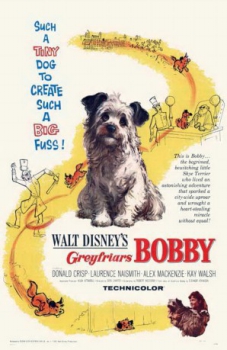 poster Mi leal compañero&nbsp;&nbsp;(1961)