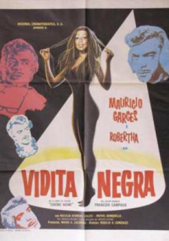 poster Vidita negra